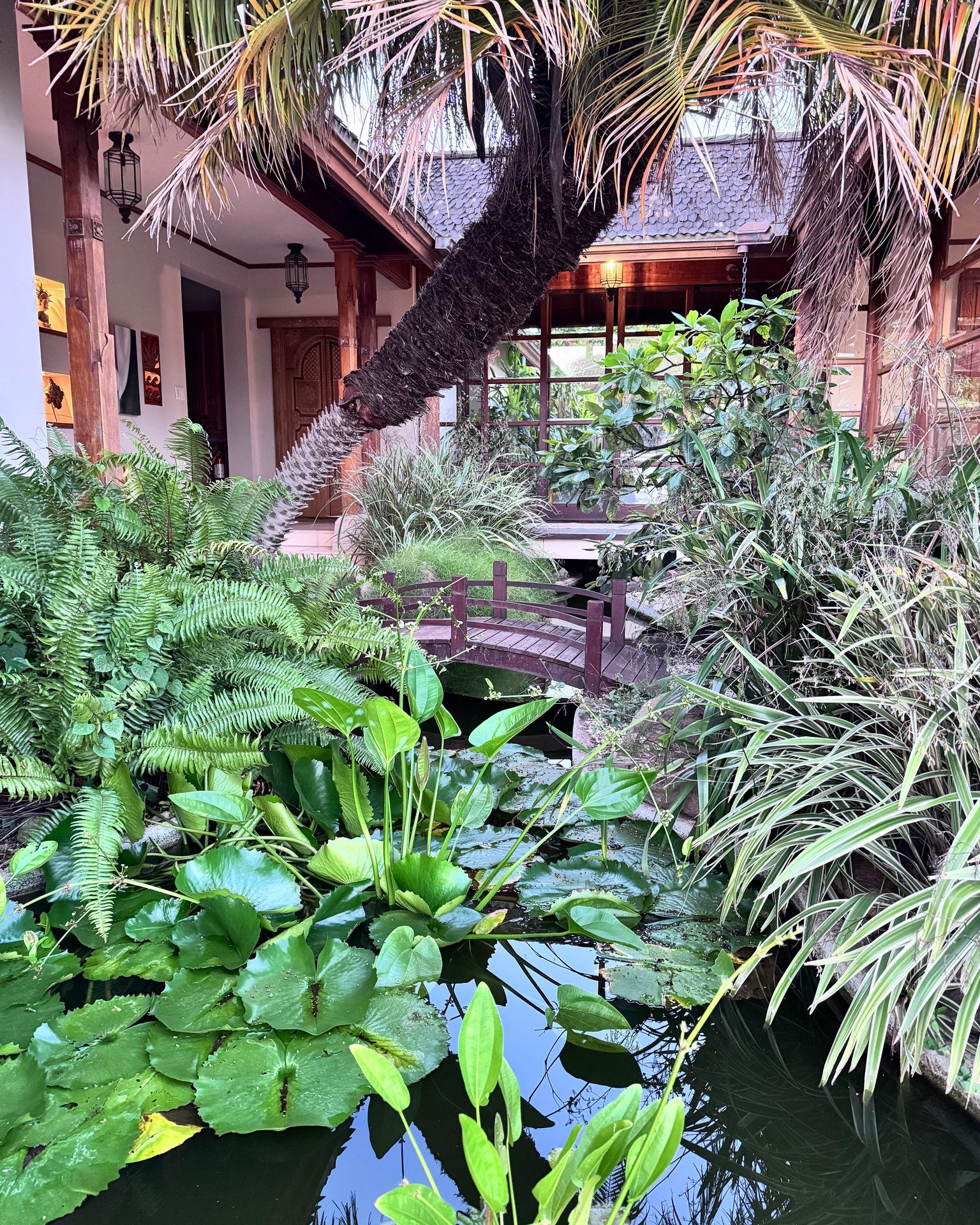 Looking lush ❤😎 #solotraveling #condenasttraveler #maui #travelwithaloha #islandlife #solotraveler #Lahaina #hawaiianhoneymoon #launiupoko #luxurybedandbreakfast #hooilohouse #condenastbestofhawaii #wheretostaymaui #luxurymaui #bestofhawaii #condenasttraveller #westmaui #visitmaui #lahaina #mauihoneymoon