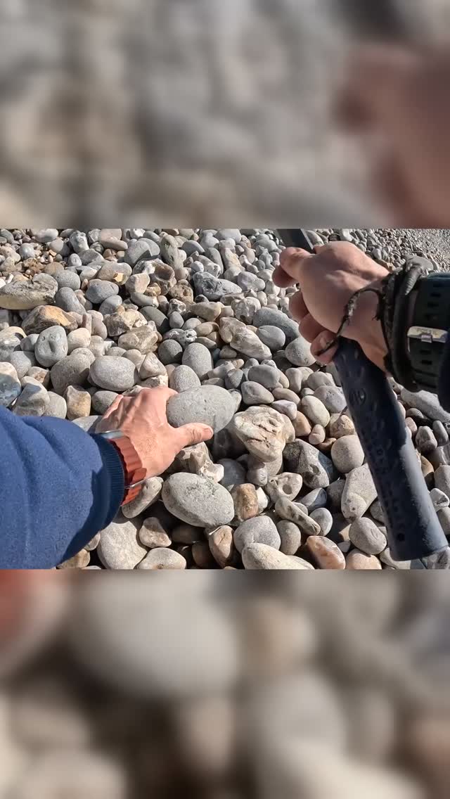 What was inside this loose rock at Pinhay Bay, Devon? An ammonite split, the newly exposed fossils, and a look at Arnioceras blocks prepared from earlier visits.