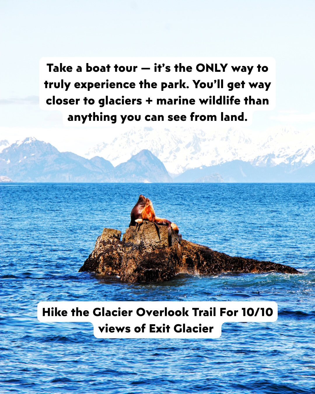SAVE THIS—then start planning your epic summer outside 💾🛋️🌄
We know your couch is comfortable. But some things outside might just be worth leaving it for. We’re talking deserts that double as natural tanning beds, waterfalls that will blow your mind, and glaciers so dramatic even Elsa couldn’t let it go. ❄️✨
We suffered through visiting all these amazing US Natinonal Parks (this is a joke obv) and did the homework (dodged moose, mud, and very confused bison) so you don’t have to.
Here’s what’s in store in part 2:
• A desert that looks like a snow globe but in a warm way. 🏜️
• A mountain so massive you’ll whisper “is this even real?” more than once. 🏔️
• And a park with daily Free Willy auditions!
Trails, secret viewpoints, and yes—carb stops included. 🍕
Swipe through for Part 2 and finish building the ultimate summer National Park bucket list. Your couch will forgive you… eventually.
#USABucketlist #USNationalParks #SummerBucketlist #USATravel #AdventureTravel